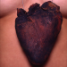 Big love; 1999, copper, steel